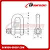AS2741 Forged Alloy Grade S Dee Shackle With Screw Pins