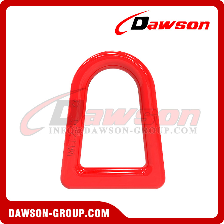 DS467 WLL 2.5T Forged Alloy Steel D Ring
