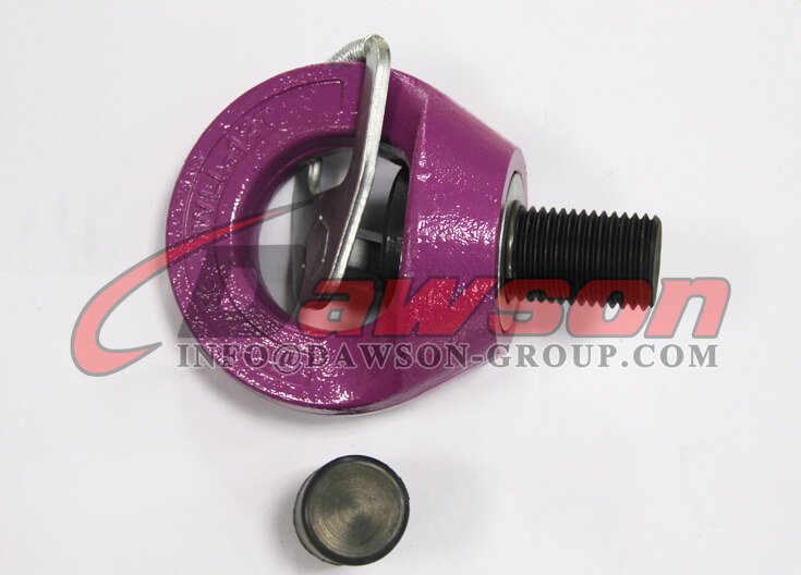 G80 Eye Type Rotating Ring, Grade 80 Forged Alloy Steel Lifting Points - Dawson Group Ltd. - China Factory