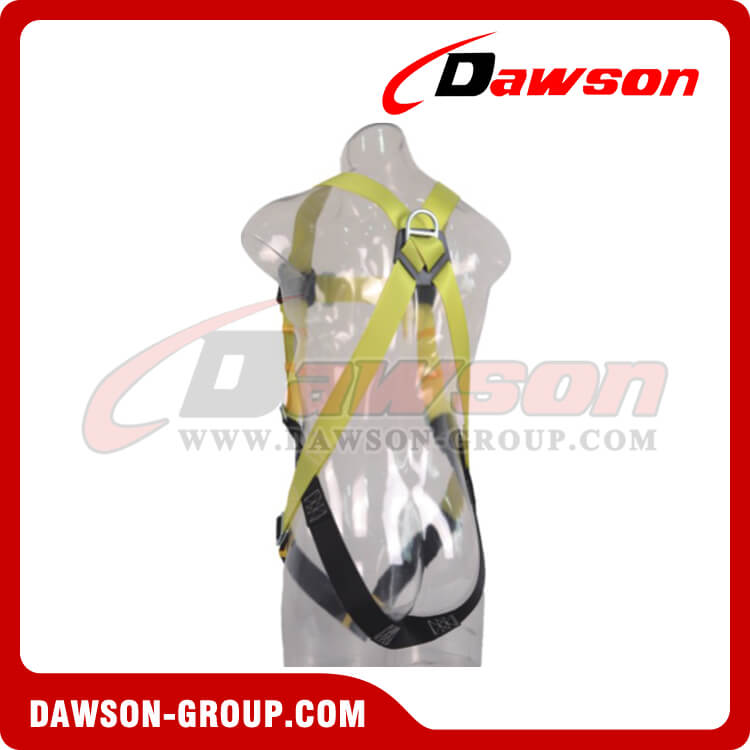 DS5109 Safety Harness EN361