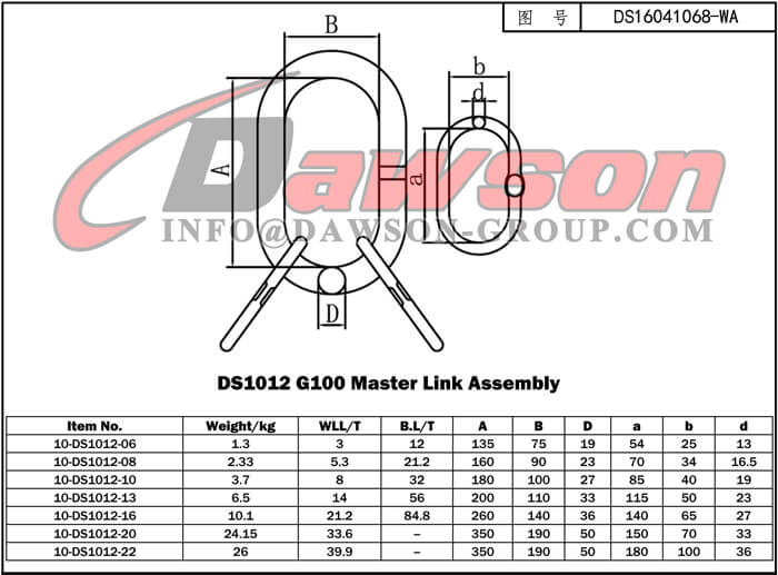 DS1012 G100 Master Link Assembly - Dawson Group Ltd. - China Manufacturer Supplier