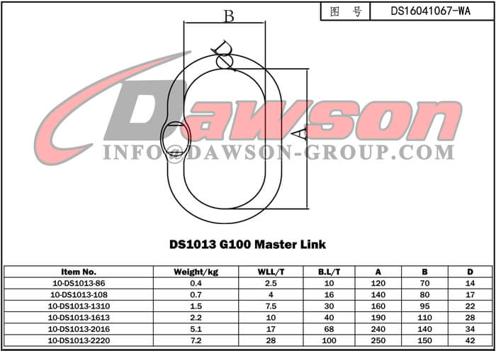DS1013 G100 Master Link - Dawson Group Ltd. - China Manufacturer Supplier
