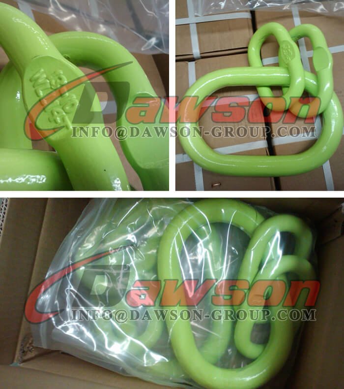DS1012 G100 Master Link Assembly - Dawson Group Ltd. - China Manufacturer, Supplier, Factory