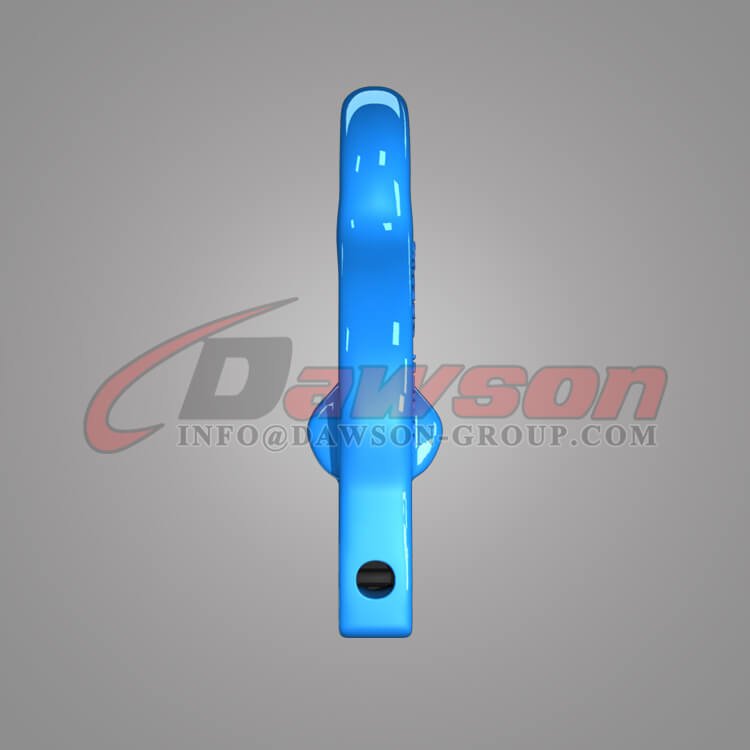 G100 Eye Grab Hook with Clevis Attachment for Adjust Chain Slings - Dawson Group Ltd - China Factory, Supplier