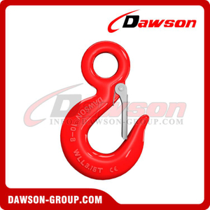 DS039 G80 Eye Sling Hook with Latch for Lifting Chain