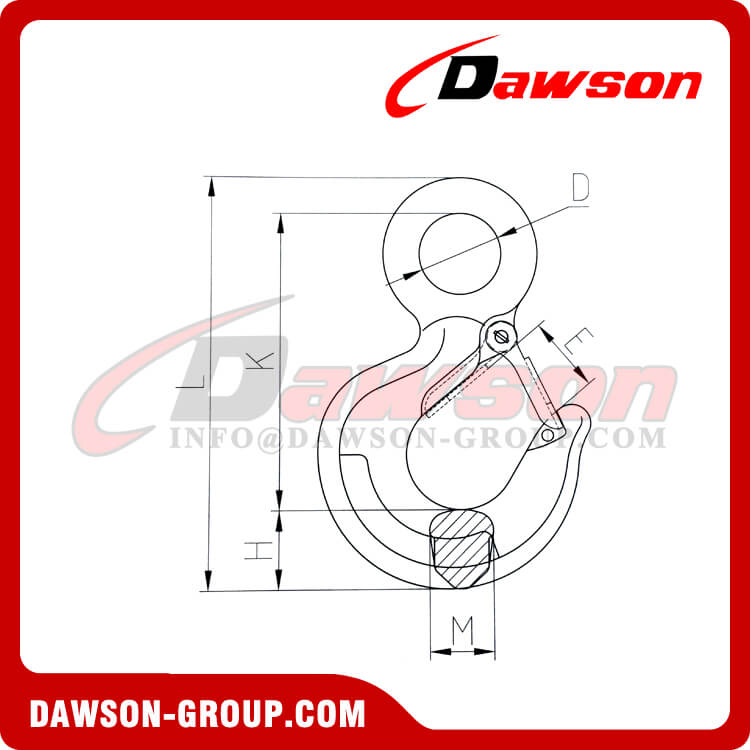DS618 Forged Alloy Steel or Carbon Steel Eye Hoist Hook with Latch
