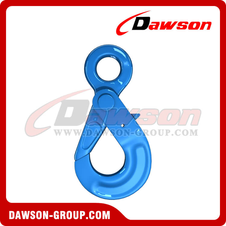Lifting Hook – The 2 Ton Round Load Fixes the Eyes Lifting Hook with the  Alloy Steel Clasp and a Lifting Crane of the Ship Construction Industry