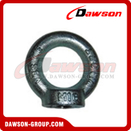 DIN 582 Galvanized Eye Nuts Lifting Ring Nut