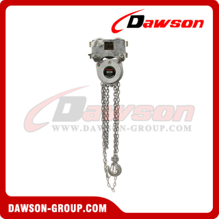 500kg - 15000kg Low Headroom Stainless Steel Chain Hoist for Wharf and Dock