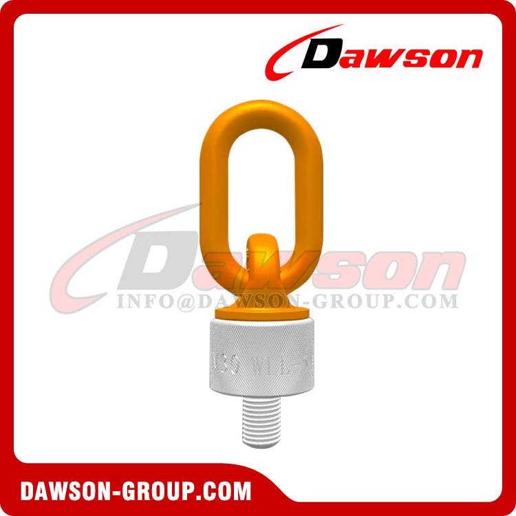 DS-PA Series G100 Universal Direction Rotating Lifting Eye bolt