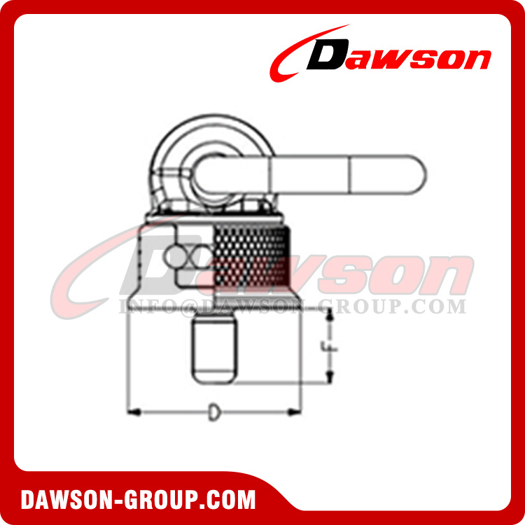 DS-PA Series G100 Universal Direction Rotating Lifting Eye bolt