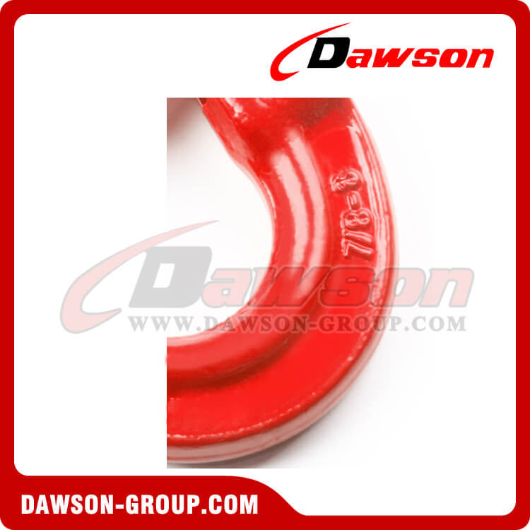 DS083 G80 Swivel Self-Locking Safety Hooks - Dawson Group Ltd. - China Exporter