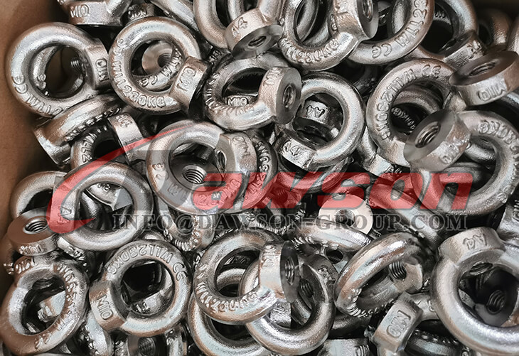 SS AISI316 DIN 582 Eye Bolt - Dawson Group Ltd. - China Manufacturer, Supplier, Factory