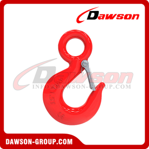 DS225 Forged Carbon Steel Eye Hook with Latch