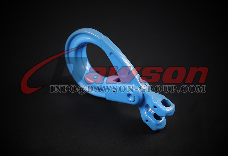 DS1006 G100 WLL 4T European Type Forged Clevis Self-Locking Hook for Lifting Chain Slings - Dawson Group Ltd. - China Manufacturer, Factory