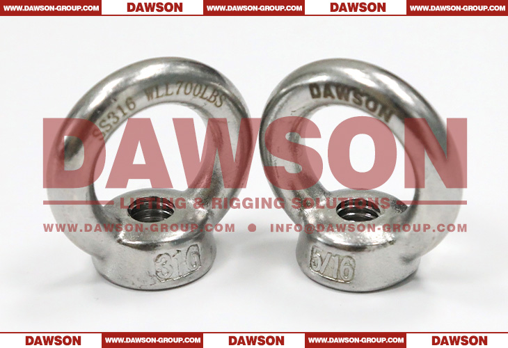 Stainless Steel DIN 582 Eye Nut, SS316 DIN 582 Eye Nut, SS304 DIN 582 Eye Nut - Dawson Group Ltd. - China Supplier