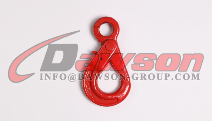 DS748 G80 Alloy Steel Eye Type Self-locking Safety Hook with