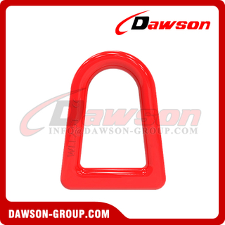 DS467 WLL 2.5T Forged Alloy Steel D Ring