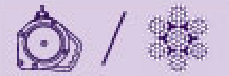 DSPE-10(S)-LE