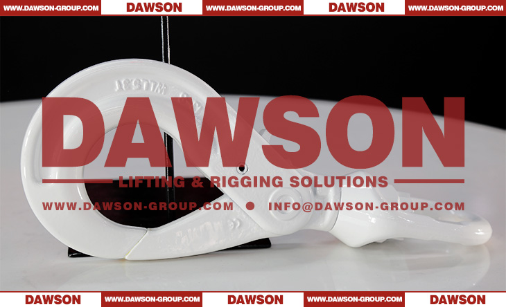 DS083 G80 Swivel Selflock Hook for Lifting Chain Slings - Dawson Group Ltd. - China Manufacturer, Factory