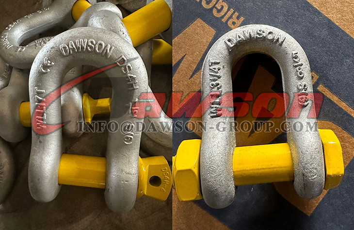 Hot Dip Gray Galvanized US Type Chain Shackle with Screw Pin, Screw Pin Dee Shackle - Dawson Group Ltd. - China Supplier, Factory