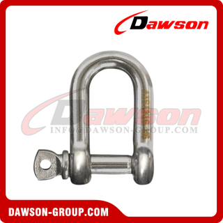 Stainless Steel European Type Dee Shackle