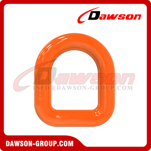 DS693 12-25MM Forged Alloy Steel D Type Ring