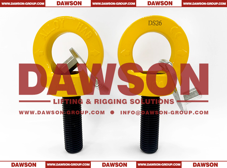 DS084 M30&times;100MM G80 Eye Type Rotating Ring with Key Wrench - Dawson Group Ltd. - China Supplier