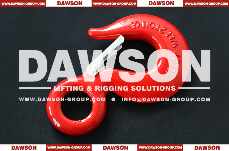DS130 320A Grade 70 G70 WLL 0.75-30T Forged Alloy Steel Eye Hoist Hook with Latch - Dawson Group Ltd. - China Supplier, Factory
