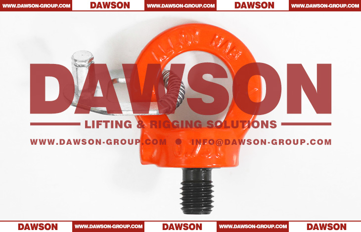 DS084 G80 Eye Type Rotating Ring with Key Wrench, Grade 80 Swivel Hoist Ring - Dawson Group Ltd. - China Manufacturer, Factory
