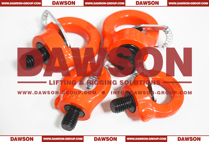 DS084 G80 Eye Type Rotating Ring with Key Wrench, Grade 80 Swivel Hoist Ring - Dawson Group Ltd. - China Manufacturer, Factory