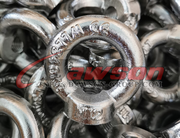 Rectangular Eye Nut Stainless Steel Eye Nut JIS Type - Dawson Group Ltd. - China ...