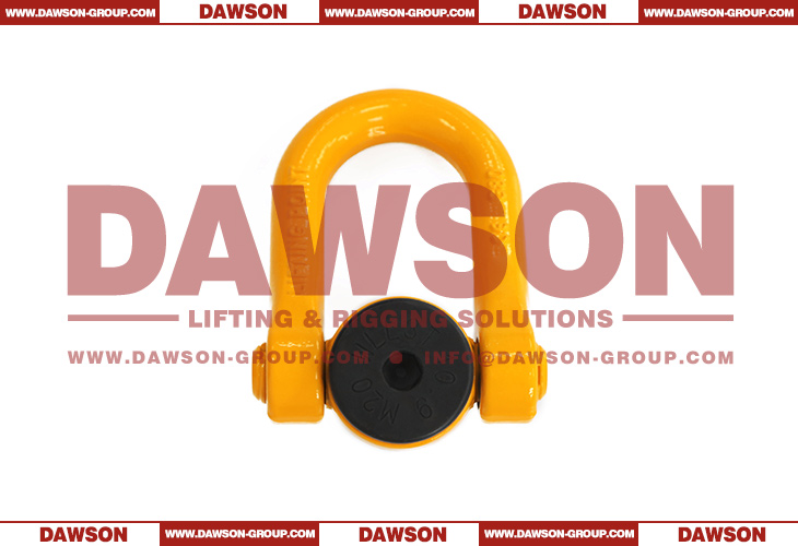 DAWSON M8-M100 Metric Thread Double Swivel Shackle G80 Swivel Hoist Ring - Dawson Group Ltd. - China Factory, Supplier