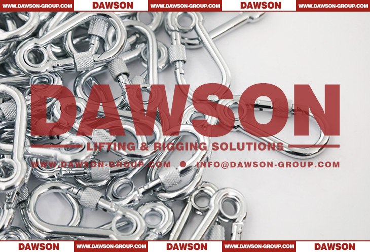 Electric Galvanized Snap Hook With Eyelet and Screw with Zinc Plated - Dawson Group Ltd. - China Manufacturer
