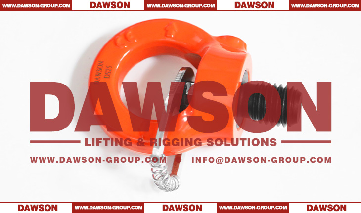 DS084 G80 Eye Type Rotating Ring with Key Wrench, Grade 80 Swivel Hoist Ring - Dawson Group Ltd. - China Manufacturer, Supplier, Factory