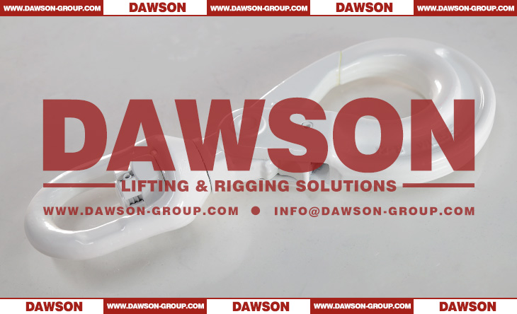 DS083 G80 Swivel Selflock Hook for Lifting Chain Slings - Dawson Group Ltd. - China Manufacturer, Factory