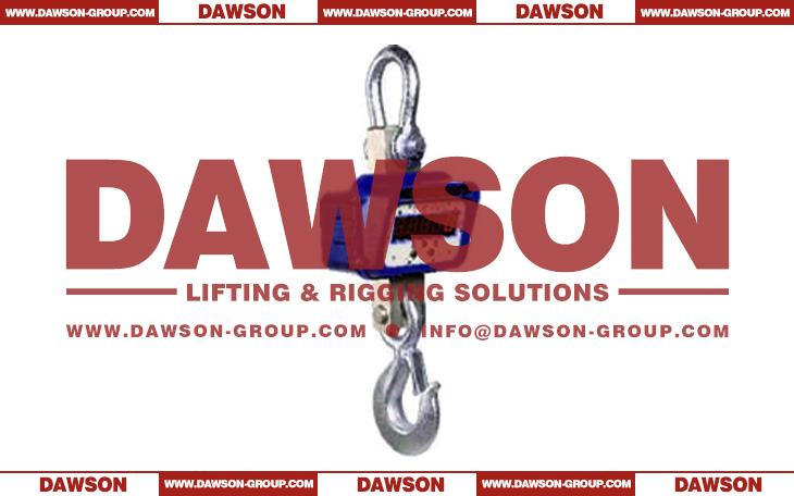 DS-CS5000 Electronic Crane Scale for Lifting, Wireless Crane Scale - Dawson Group Ltd. - China Factory