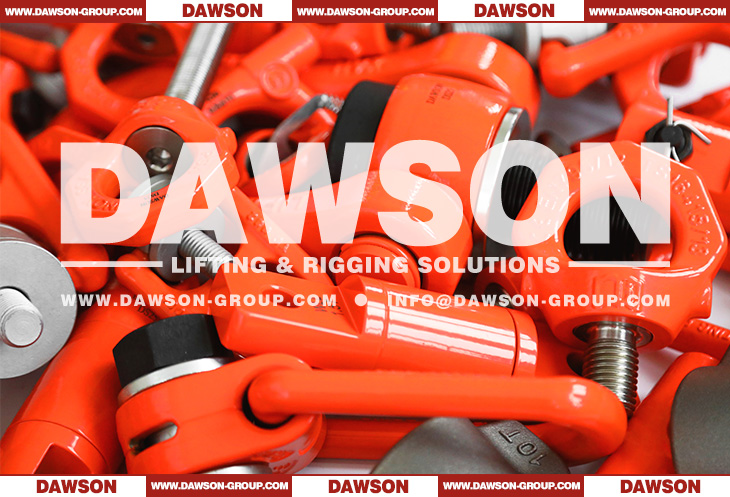 G80 Swivel Hoist Ring, Duplex Stainless Steel Eye Bolt, Welded Lifting Lug, Angular Contact Bearing Swivels, Pivoting Lifting Screw - Dawson Group Ltd. - China Manufacturer, Factory