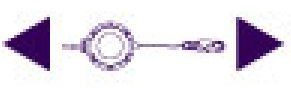DSHE-10(S)-LE