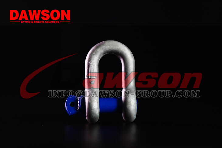 Chain Shackle with Safety Pin - Dawson Group Ltd. - China Supplier