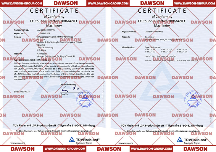 DS334 G80 Forged Eye Sling Hook with Cast Latch with TUV CE Certificate - Dawson Group Ltd. - China Manufacturer, Supplier, Factory