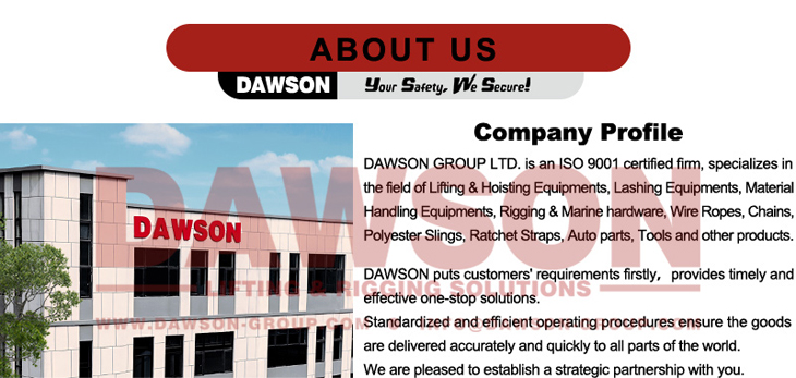 DAWSON About us - Dawson Group Ltd. - China Manufacturer, Supplier, Factory