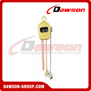 DS-DHBS Stationary Type Explosion-proof Electric Chain Block