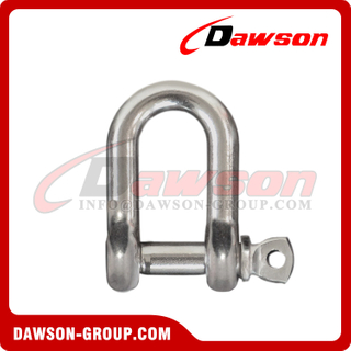 Stainless Steel 304 European Type Dee Shackle, SS 316 European Type Dee Shackle