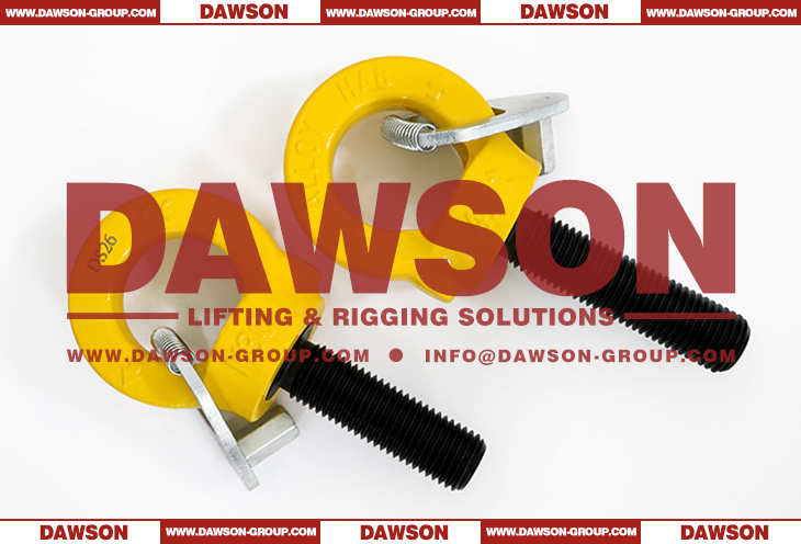 DS084 M30&times;100MM M30&times;120MM G80 Eye Type Rotating Ring with Key Wrench - Dawson Group Ltd. - China Supplier