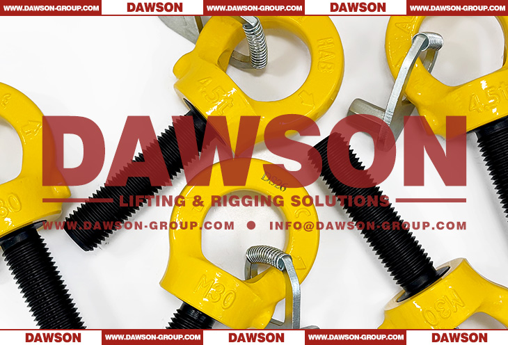 DS084 M30&times;100MM G80 Eye Type Rotating Ring with Key Wrench - Dawson Group Ltd. - China Factory