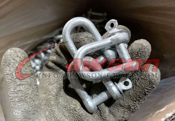 European Type Commercial Galv. Dee Shackle - Dawson Group Ltd. - China Manufacturer, Factory