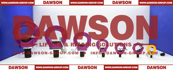 DAWSON G80 Eye Type Rotating Ring with Key Wrench, New Design Swivel Hoist Ring, Grade 80 Lifting Points - Dawson Group Ltd. - China Manufacturer, Supplier, Factory