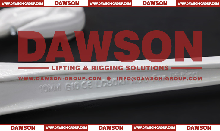 DAWSON DS1030 G100 8-13MM Ratchet Load Binder With Eye Grab Hook and Safety Pin for Ratchet Lashing - Dawson Group Ltd. - China Factory