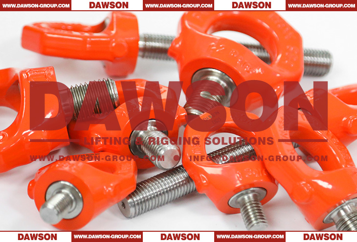 DS PSA B Duplex Stainless Steel Eye Bolt SS Lifting Eye Bolts Fall DS PSA B Duplex Stainless Steel Eye Bolt SS Lifting Eye Bolts Fall